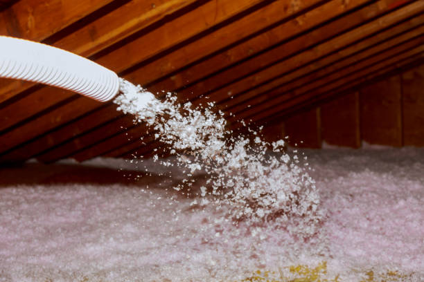 Types of Insulation We Offer in Santa Rosa, CA
