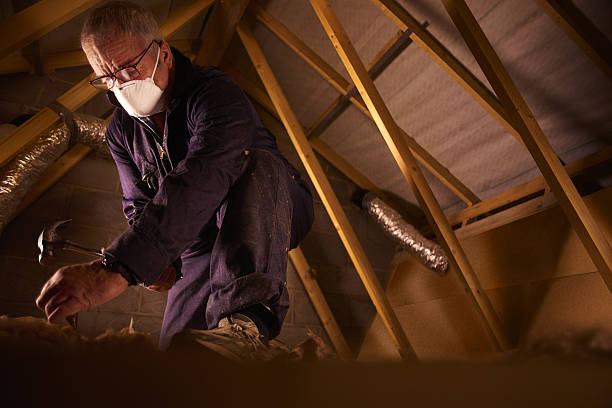 Best Energy Efficiency Insulation in Santa Rosa, CA